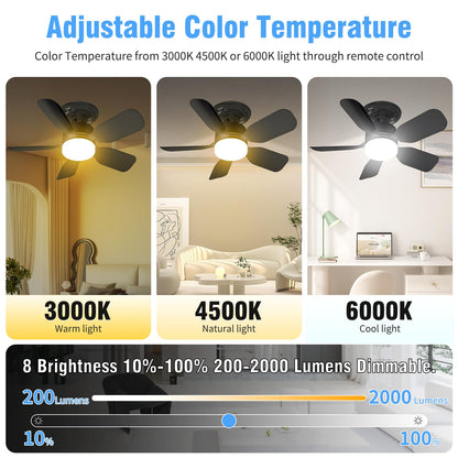 Socket FanLight with Remote